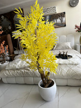 Yellow leaf Plant with textured Planter