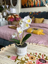 Orchid Planter White 008