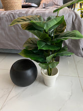 Round Pot with Plant (002)