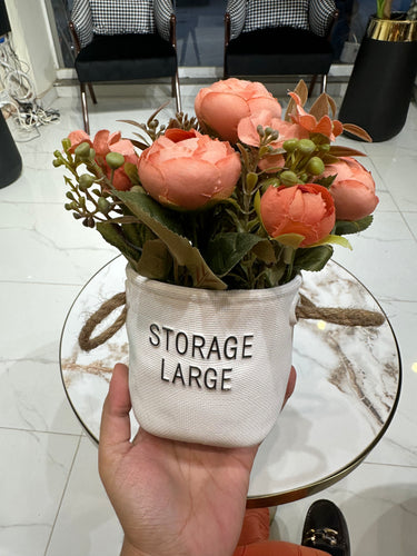 Rose Planter Peach 001