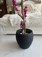 Magenta Blossom Flower Plant with textured Planter Black