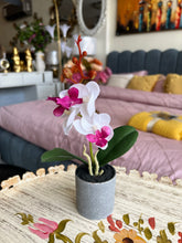 Orchid Planter 005