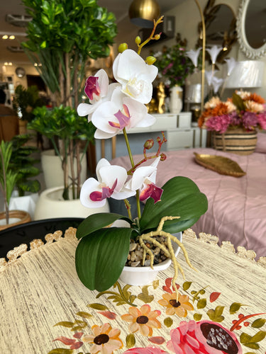 Orchid Planter 011