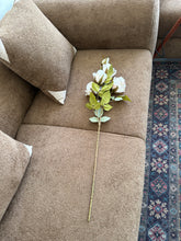 Light Peach Roses Stem