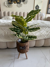 Artificial small plant 002