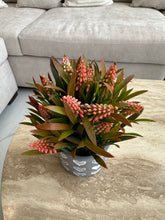 Heart Planter 003 Orange