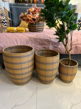 Cane Planter (3 sizes)