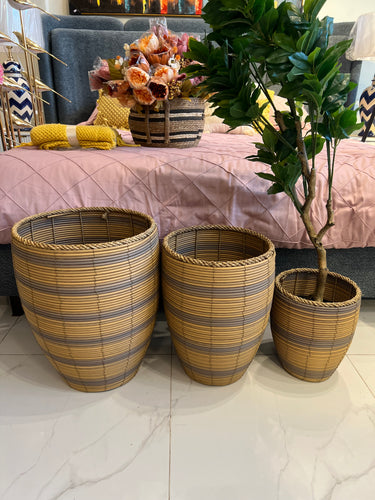 Cane Planter (3 sizes)