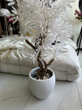 Owner leaf Plant with textured Planter