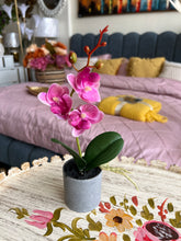 Orchid Planter Pink 002