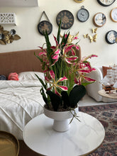 Gloriosa Lilies Planter