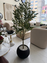 Olive with Round Textured Pot