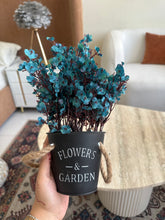 Eucalyptus planter Blue