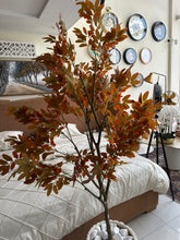 Autumn Maple tree with Planter