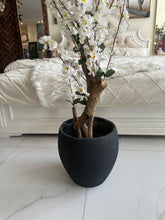 White Blossom Flower Plant with textured Planter Black