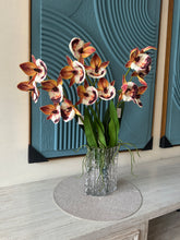 Cymbidium Orchids Orange