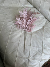 Pale Pink Leaves Stem