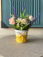 Peach Daisies in Rustic Planter 003