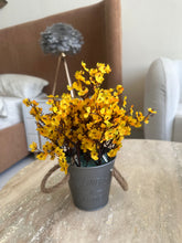 Eucalyptus planter Yellow