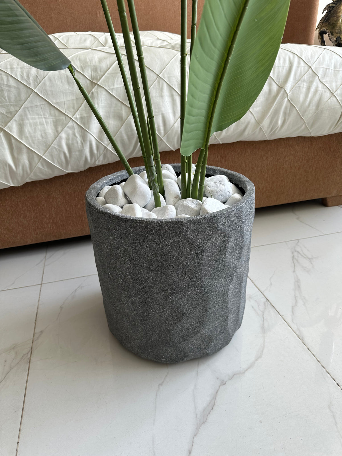 Banana Plant with Grey Texture Pot
