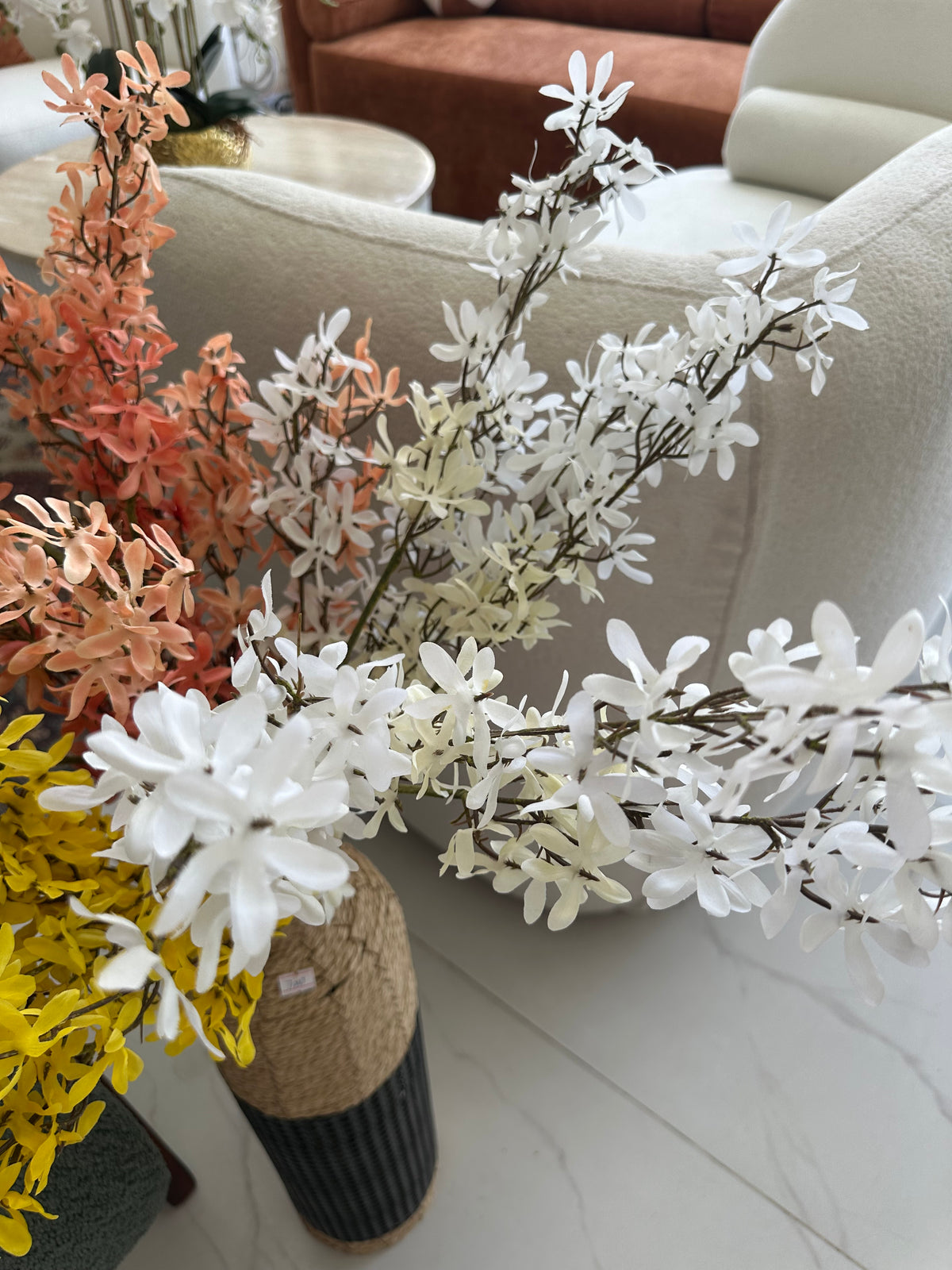Winter Jasmine Flower