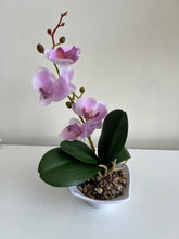 Orchid Planter Pink 009