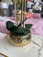 Orchids Flower Arrangement in brass pot