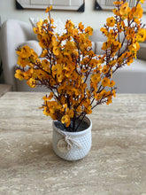 Yellow Eucalyptus with White Planter