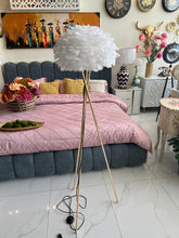 Feather lamp