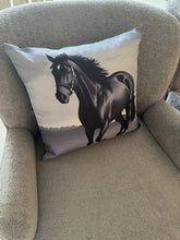 Digital print cushion 03