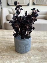 Black Eucalyptus with Grey Planter
