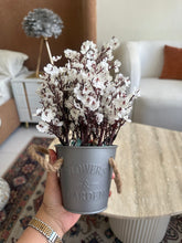 Eucalyptus planter White