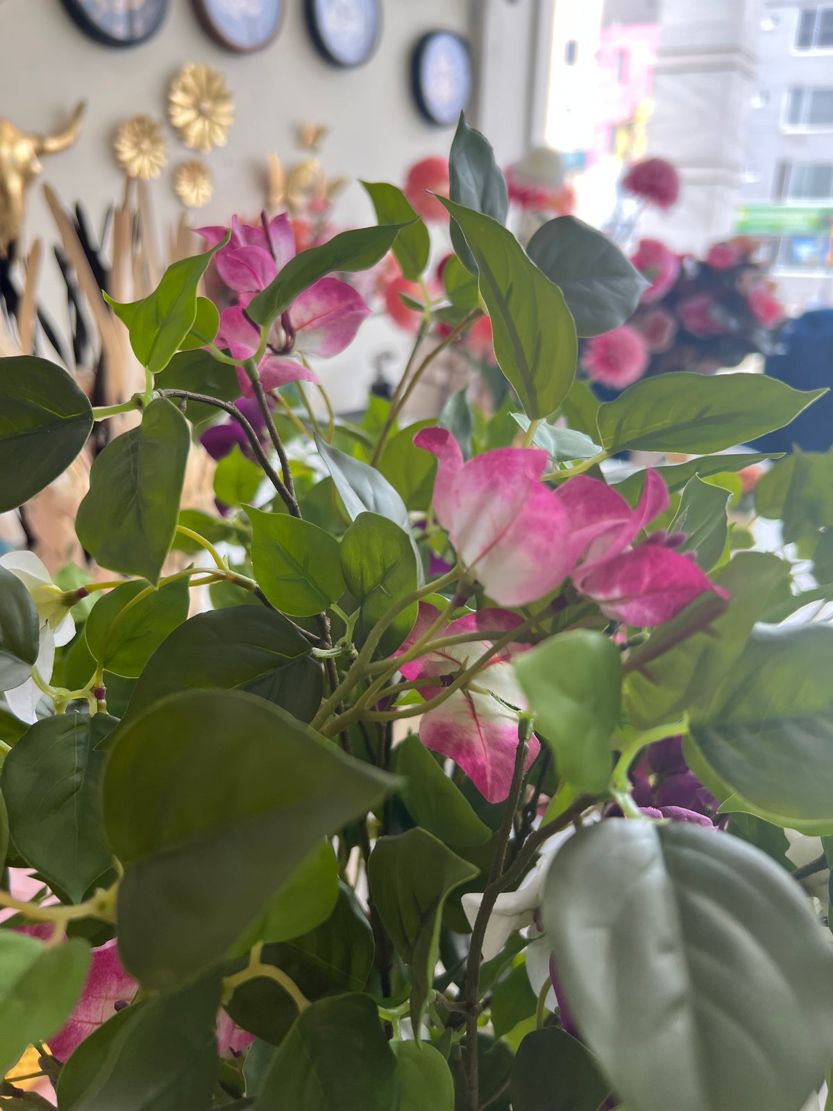 Bougainvillea Flower Stem