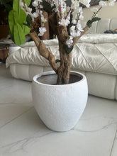 White Blossom Flower Plant with textured Planter