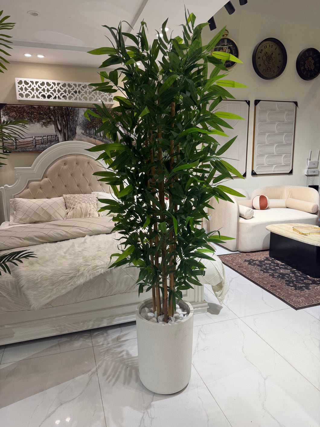 Bambo plant with Aster Pot
