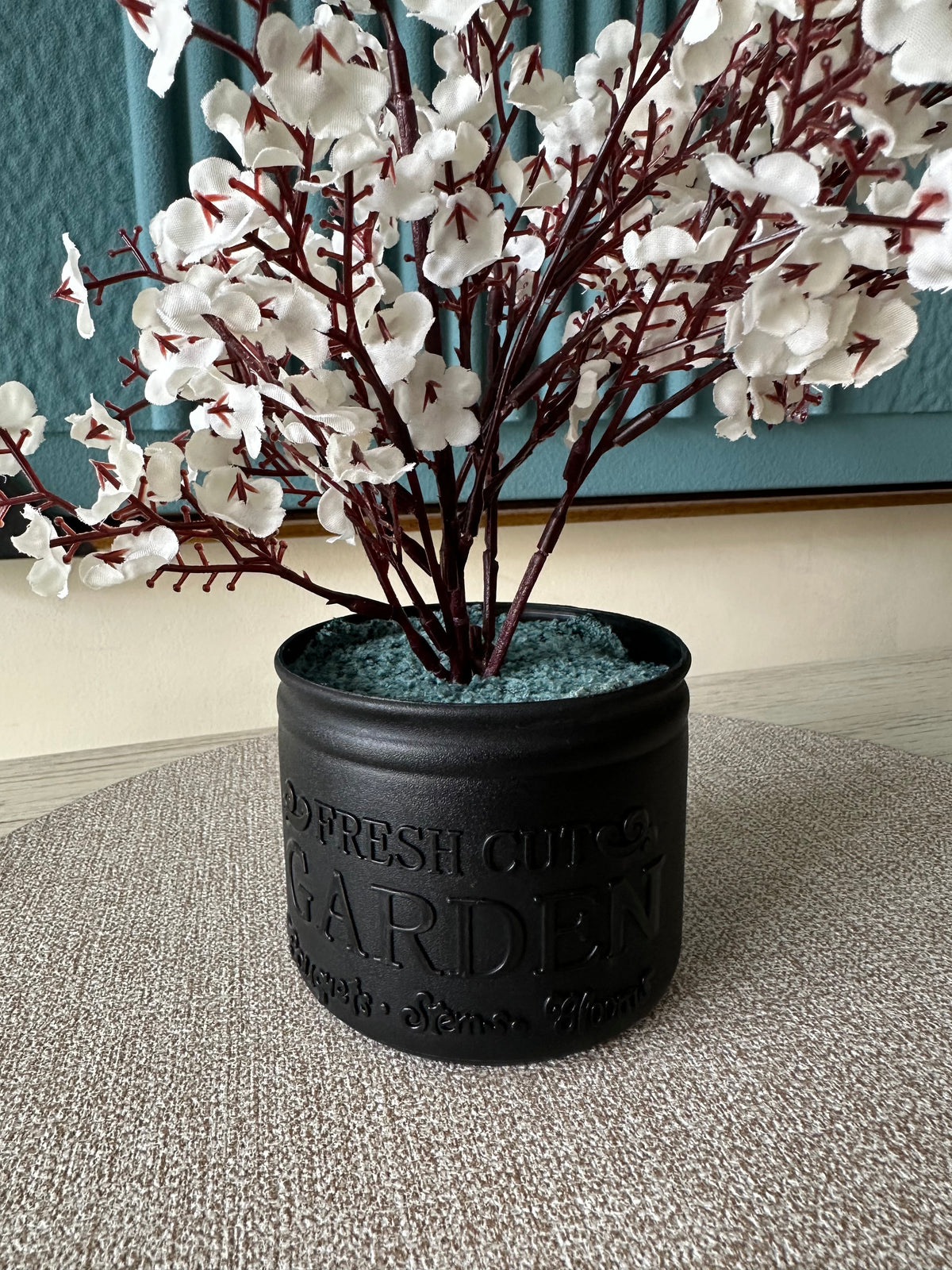 White Eucalyptus with Black Planter