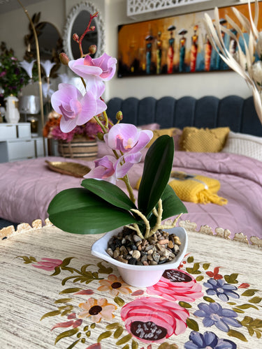 Orchid Planter Pink 009