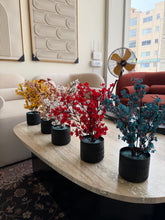 Eucalyptus with Black Planter