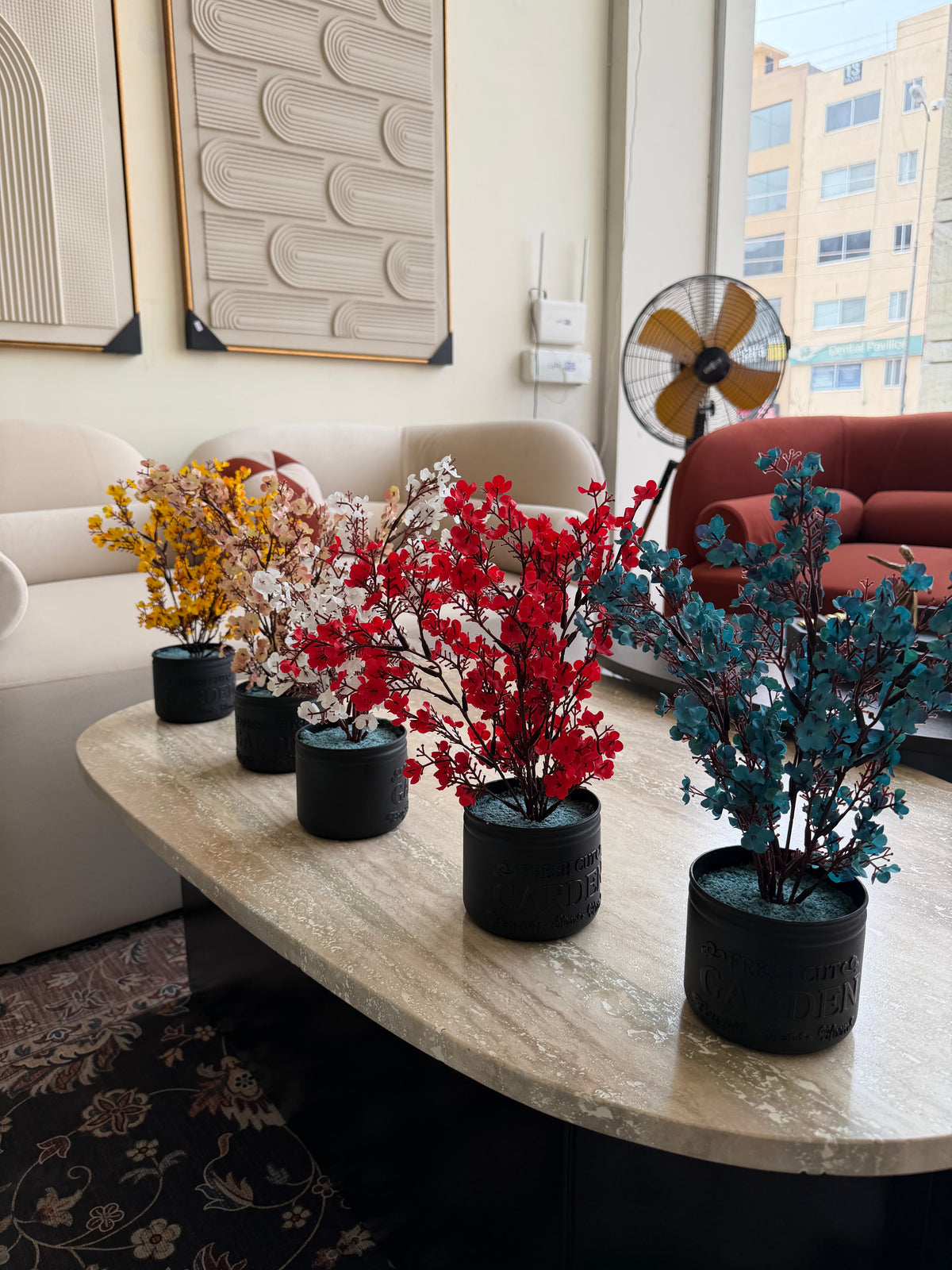 Eucalyptus with Black Planter