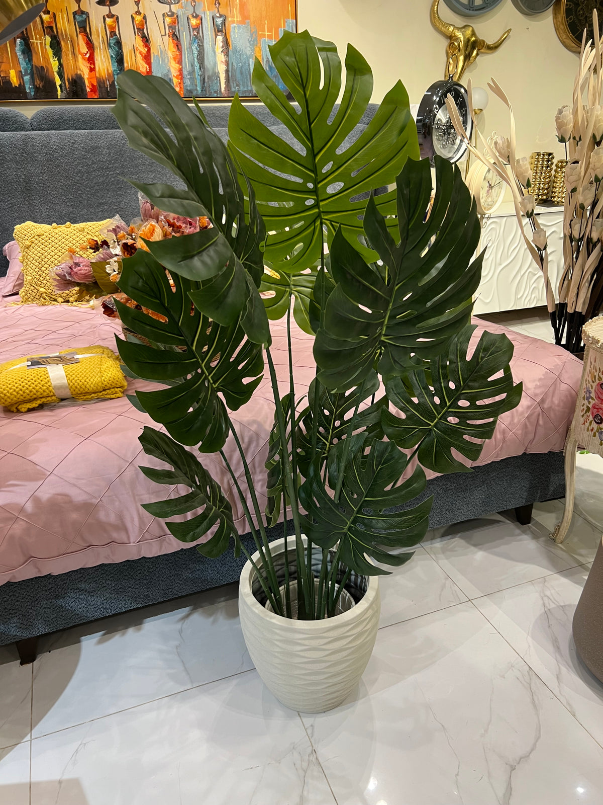 Monstera plant and planter 037