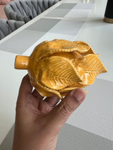 Flower Mustard 01