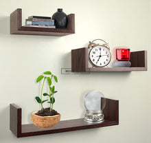 Alvin Shelf