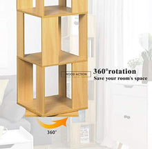 Anatonio Rotating Shelf