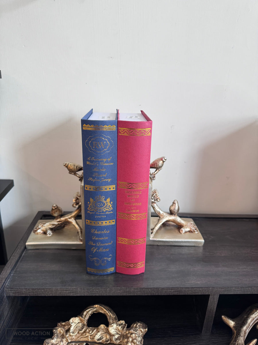 Resin Book End 01