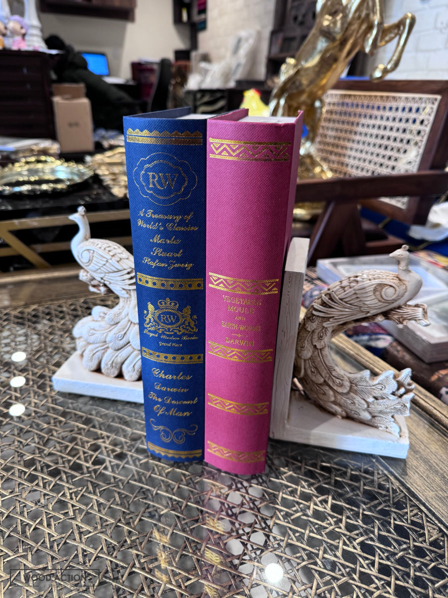 Resin Book End 03