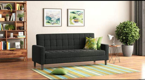 Travis Sofa Cum Bed